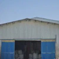 استخدام
