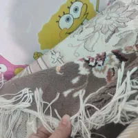 فرش ۱۲ متری ۲۵۰۰ شانه نگین مشهد|فرش|اسلام‌شهر, شهرک توحید|دیوار