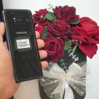 Galaxy S8 Plus|موبایل|مشهد, کلاهدوز|دیوار