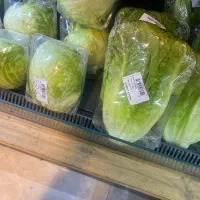 کارگراقایاخانم جهت کاردرکارگاه بسته بندی کاهو