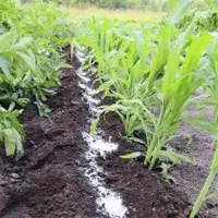 مواد شیمیایی برای کشاورزی