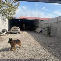 اجاره گاراژ ، کارگاه ، تعمیرگاه|اجارهٔ مغازه و غرفه|رشت, حومه رشت|دیوار