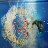 قلم قرآنی بصیر|پخشکننده همراه|کاشان, سال آباد|دیوار