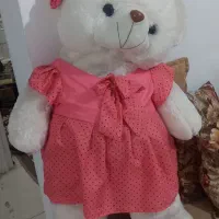 خرس مهربون