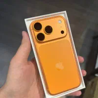 17پرو بندر کنگ