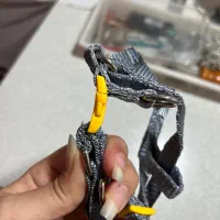 سگک(خرچنگی)|لوازم جانبی حیوانات|تهران, بیسیم|دیوار