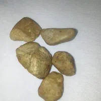 کلکسیون|کلکسیون سکه، تمبر، اسکناس|بندرعباس, |دیوار