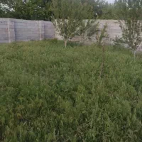 زمین ویلایی|فروش زمین و ملک کلنگی|باسمنج, |دیوار