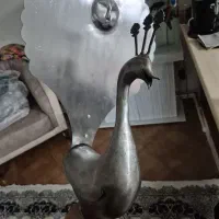 حیوان علم (علامت)