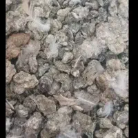 کود کبوتر تمیز