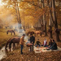 طبیعت گردی با اسب|اسب و تجهیزات اسب‌سواری|تاکستان, |دیوار