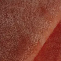 پتوو روتختی گلبافت یک نفره|رختخواب، بالش، پتو|تبریز, |دیوار