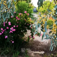 باغچه|فروش خانه و ویلا|آفتاب, |دیوار