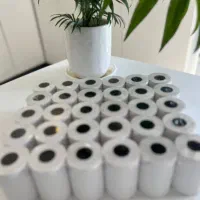 کاغذ رول حرارتی فیش پرینتر هانسول کارتخوان