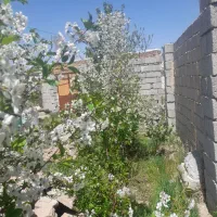 حیاط مسکونی ۲۰۰متر.درسعیداباد.تبریز|فروش زمین و ملک کلنگی|سراجو, |دیوار