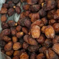 فروش خرما خاصه اجیلی اعلا|خوردنی و آشامیدنی|قم, لسانی|دیوار