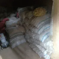 سیب زمینی مسکن مهر