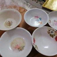 جهت باغ میشه استفاده کرد همه باهم|ظروف سرو و پذیرایی|شیراز, اصلاح‌نژاد|دیوار