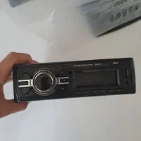 ظبط