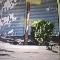 بر نامجو مغازه ۳۰ متر دو دهنه