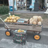 گاری|فروشگاه و مغازه|رشت, سلیمانداراب|دیوار