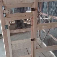 قفس|لوازم جانبی حیوانات|یزد, |دیوار