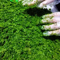 سبزیجات آماده به طبخ ماهان|خوردنی و آشامیدنی|سبزوار, گلشن|دیوار