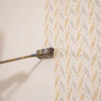 رنگ آمیزی و نقاشی ساختمان|خدمات پیشه و مهارت|دهدشت, |دیوار