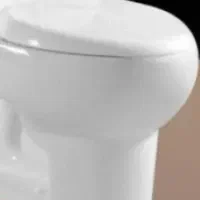 توالت فرنگی.سرویس بهداشتی
