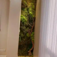 طراحی و اجرا تخصصی لاین نوری|خدمات پیشه و مهارت|مشهد, هنرستان|دیوار