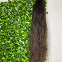 فروش مو طبیعی سرچیده شده نصب مو رایگان در شهر نور|خدمات آرایشگری و زیبایی|نور, |دیوار