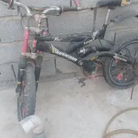 دوچرخه ماکسیما 20