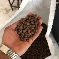 فروش جزئی و عمده قهوه|کافیشاپ و رستوران|تربتحیدریه, باغ سلطانی|دیوار