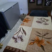 دو عدد تخت یک نفره|تخت و سرویس خواب|بندرعباس, |دیوار