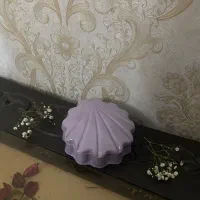 جا جواهراتی و اکسسوری صدفی|صنایع دستی و سایر لوازم تزئینی|اصفهان, سرشبادران|دیوار