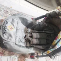 کریر دلیجان اصل نونو مناسب سیسمونی