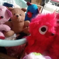 تعدادی خرس|اسباب‌بازی بچه|ورامین, ورامین|دیوار