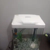 آکواریوم شرکتی آکوا