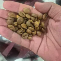 قهوه یونو