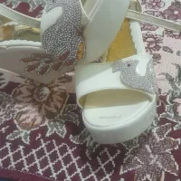 کفش مجلسی