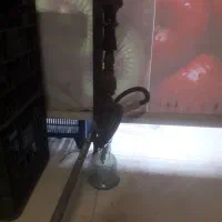 قلیون چوبی انبه