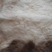 پوست دباغی شده