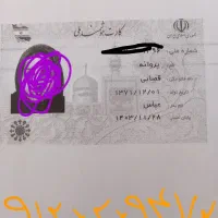 کارت ملی گمشده به نام پروانه قصابی