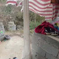 تور ماهیگیری