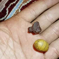 سنگهای  ارزش دار|کلکسیون اشیاء عتیقه|رودبار (کرمان), |دیوار
