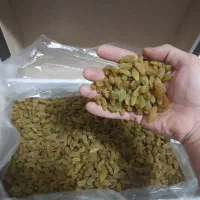 تخصصی کشمش آبگیری (گله)خلیل آباد کاشمر ،جزیی کلی|خوردنی و آشامیدنی|مشهد, هدایت|دیوار