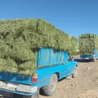 فروش یونجه و حمل بار