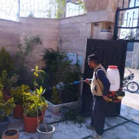 سمپاشی و باغبانی