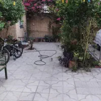 خانه کلنگی ۲۵۰ متر|فروش زمین و ملک کلنگی|شیراز, صاحب الزمان|دیوار