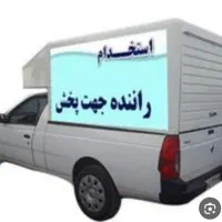 راننده شرکت پخش